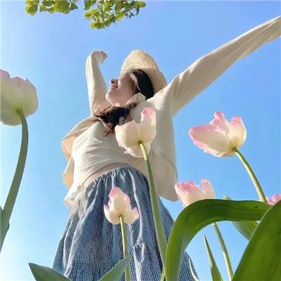 万紫千红花弄蝶